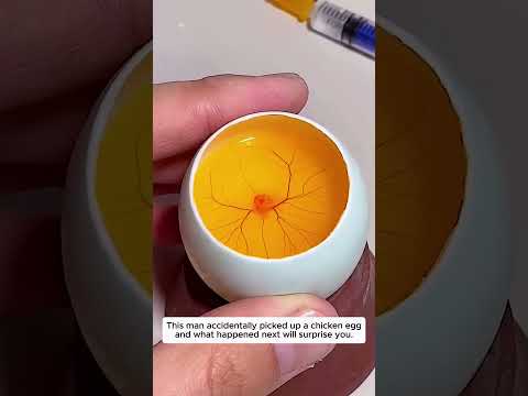 This man accidentally picked up a chicken egg, and what happened next will surprise you.