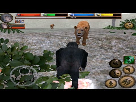 Chimpanzee Family Simulator 3D Ultimate Jungle Simulator, By Gluten Free Games - YouTube