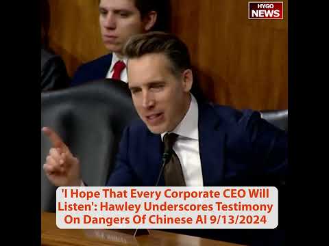 Dangers Of Chinese AI, Hawley: I Hope That Every Corporate CEO Will Listen, billions invested China
