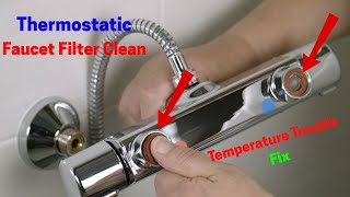 Disassemble and Clean the Thermostatic Faucet Filter (Temperature Trouble Fix)