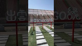 いちご狩りにはいつやっても美味しくて楽しい