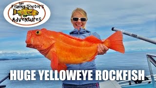 Yelloweye Rockfish Fishing Limiting Out