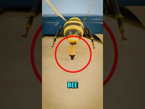The Shocking Reason Honeybees Die After Stinging You 🐝 #shorts