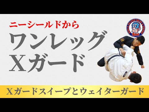 ニーシールドからXガードへ