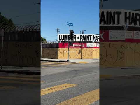 Hangout Boys 55 Bunch