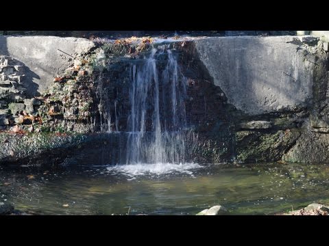 DSLR Manual Mode Basics Pt 2: Aperture