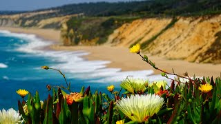 Jon and Vangelis - Shine For Me