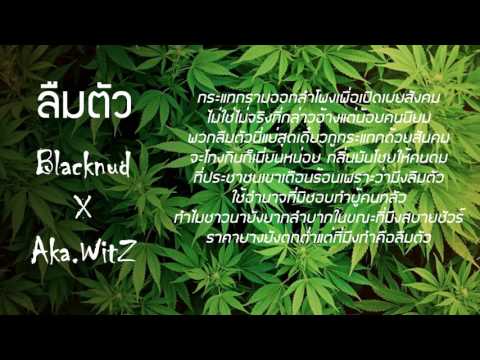 Blacknud X Aka.Witz - ลืมตัว