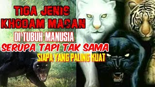 Download lagu TIGA JENIS KHODAM MACAN, SERUPA TAPI TAK SAMA mp3