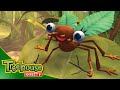Miss Spider Master Mantis Bug Versity Ep 38