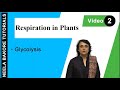 Respiration In Plants NEET Glycolysis Neela Bakore Tutorials