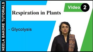 Respiration in Plants | NEET | Glycolysis | Neela Bakore Tutorials
