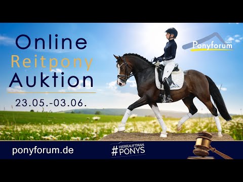 Nuna Nautica Stute 2019 FS Numero Uno / Dimension AT NRW