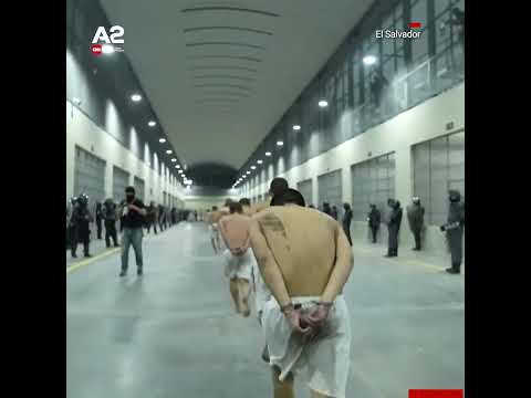 Si “sardele në konservë”, grupi i dytë me 2000 të burgosur mbërrin në burgun famëkeq