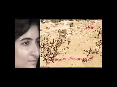 Sindhi.song noorbanu