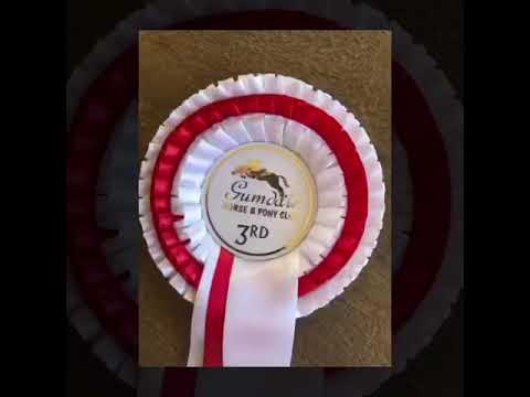 Hot Edition (OTT) 2019 Gumdale Pony Club Official Showjumping