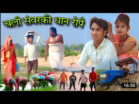 #Chali_sanvarki_dhan_ropai 😂Another trending video of #shailendra_gaur is here #Chali_sanvarki_dh...