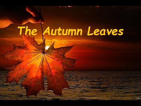 Cecile Bredie - The Autumn Leaves