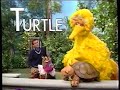Sesame Street 3513 Magical Hide And Seek