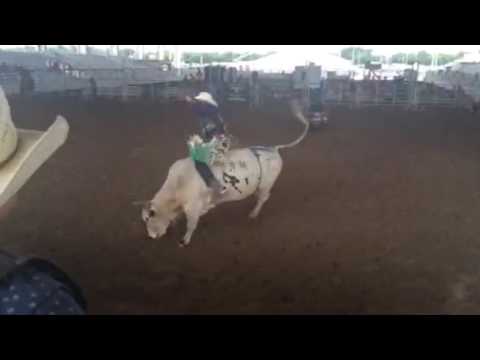 Gary Richard Jr Seguin,Tx 2016 85.75 points