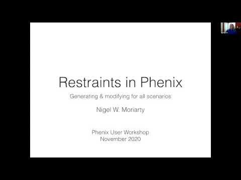Phenix Workshop 11/18/2020 (Xtallography) - Ligands and restraints