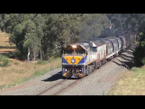 Qube Grain 9177 with VL356 and G521. 4/2/2018