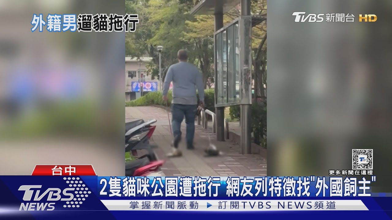 2隻貓咪公園遭拖行!網友列特徵找「外國飼主」