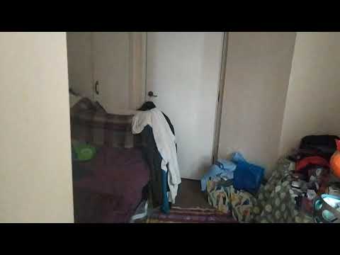 neighbor 33 Linden Gardens harassing me with non stop noise everyday