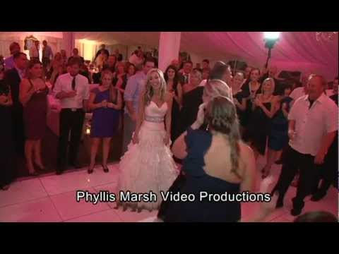Endzel Wedding Clips