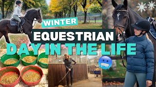 How I Balance Horses, Work & University | Equestrian Winter Routine
