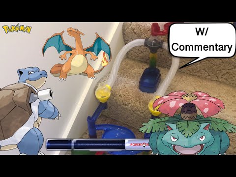 Pokemon Marble Race: Blastoise vs Charizard vs Venusaur | Pokemon Rush
