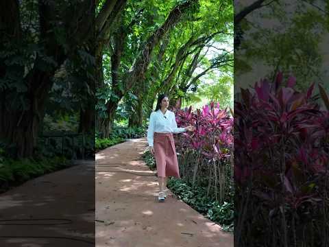 Teaser do Empreendimento Lavvi Hípica