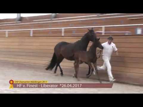 KN 37 Finest Life Hf v. Finest - Liberator