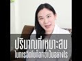เมโสแฟต ยี่ห้อไหนดี