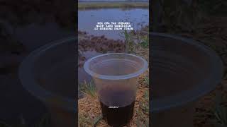 Download lagu story wa bro #viralvideo #fypシ゚viral #story #shorts #s mp3
