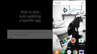 Stop a specific app from auto updating