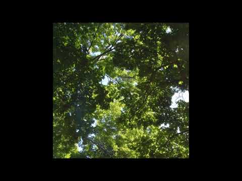 74. Sincerityisdead - Whirr [21.02.2020]