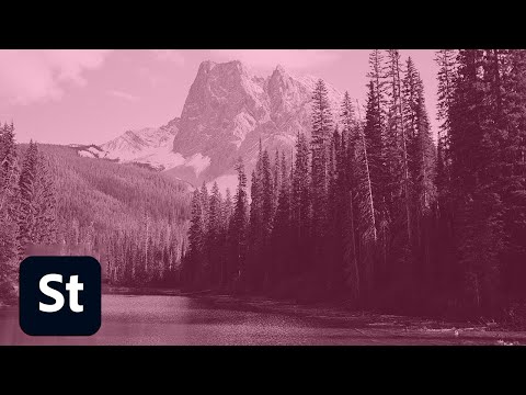 How to Make Stock Images that Consistently Sell | Adobe Creative Cloud