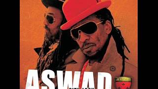 Aswad -   Natural Progression   2009