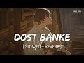 Dost Banke Slowed Reverb Rahat Fateh Ali Khan Gurnazar Priyanka SR Lofi