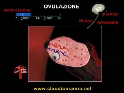 Claudio Manna-18