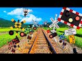 Railroad Crossings That Have Gathered Too Much