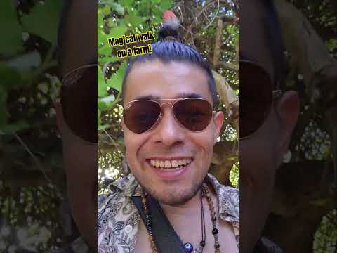 🌌Magic is in EVERYTHING, and ANYWHERE!🌈 Being is the most magical gift life offers EVERYONE!🌏 Be!🧚🏾