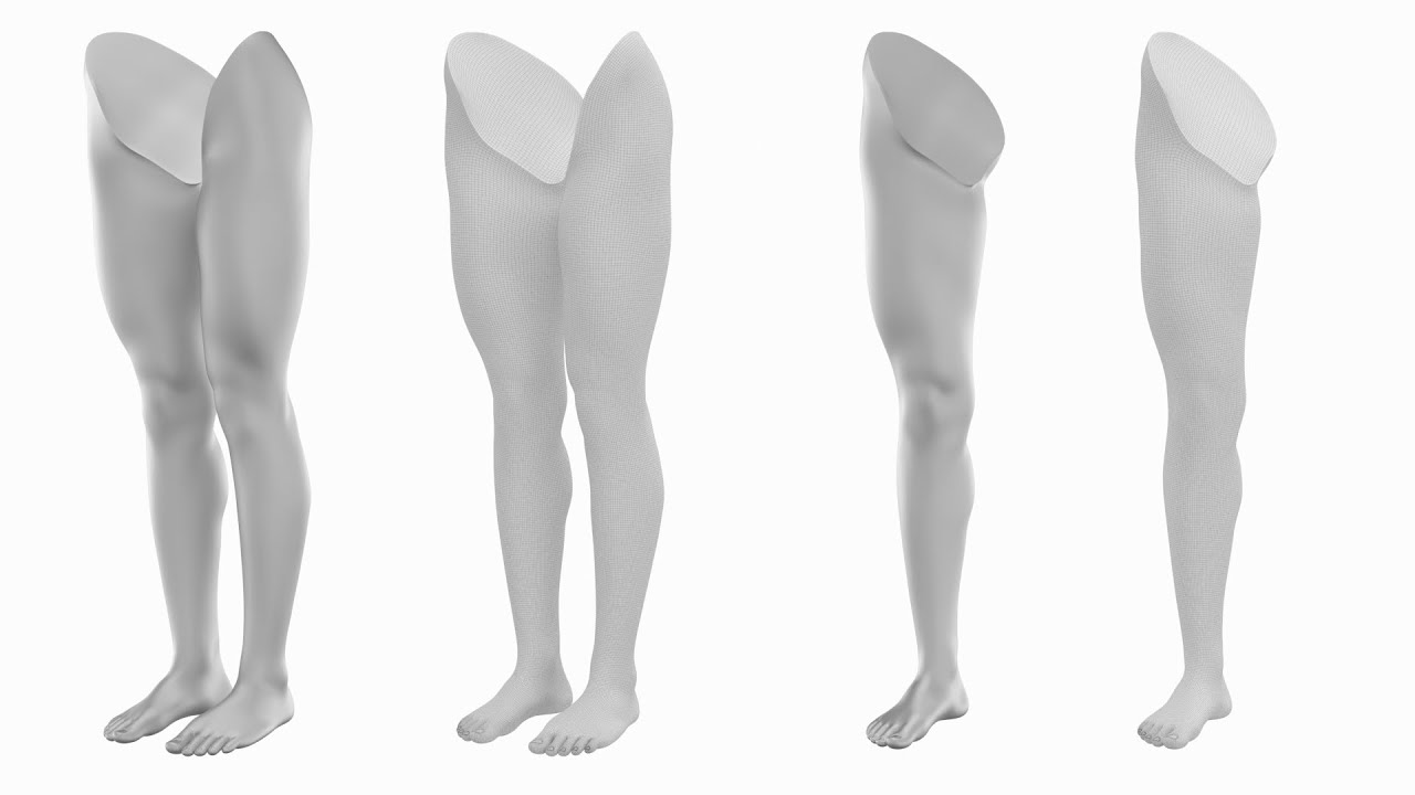 Malha Base Anat&ocirc;mica de Pernas Femininas Modelo 3D
