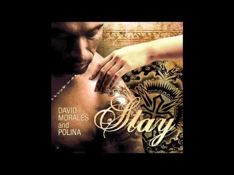 David Morales & Polina - Stay (Cover Art)