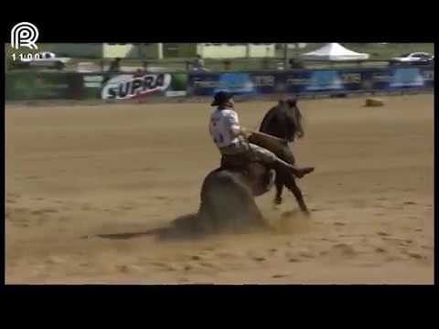 Bocal de Ouro Esteio (RS) – 7° lugar machos – Cigano Cala Bassa