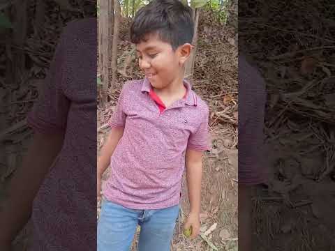 Indo pro açude de Lagoa Grande do Maranhão novamente! 🌊🐮💖