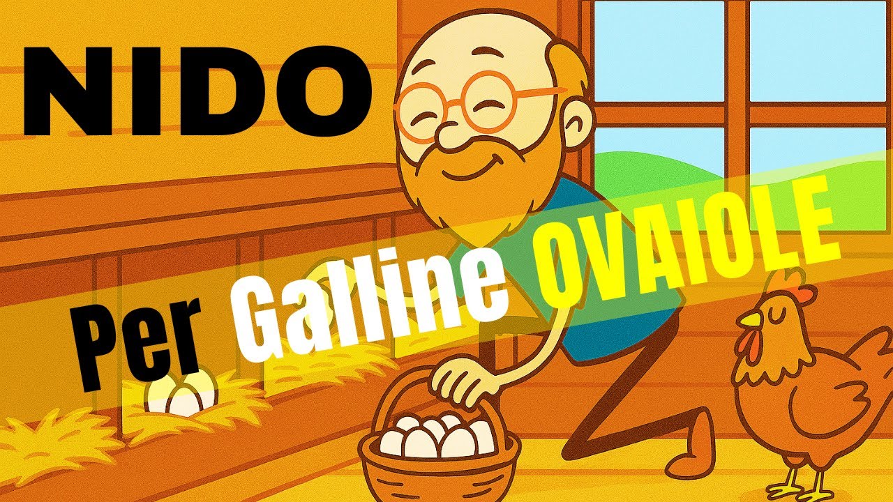 Nido per uova di galline ovaiole fai da te
