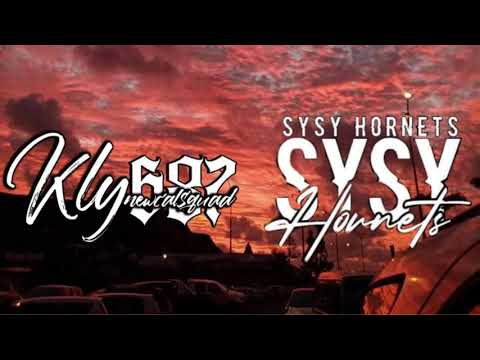 SYSY x DROUX (SHOSHOLOZA) HORNETS REMIX 2021