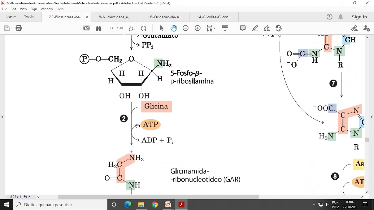 ACH5543 Aula13 - Biossíntese de Aminoácidos, Nucleotídeos e Moléculas Relacionadas - Parte 2